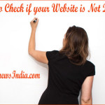 How to Check if your Website is Not Dead?