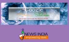 Google Sitelinks Search Box and Google Site Search in SERP!